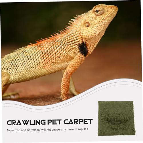 WOONEKY Reptile Carpet Lizards Bedding Fake Lawn Mat for Enclosure Terrarium Supplies - size: 20.00X20.00X0.50CM