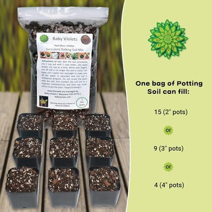 Succulent & Cactus Plant Potting Soil Mix Peat Moss & Perlite, 1 Quart (1qt 4 Level Cups) - size: 1qt