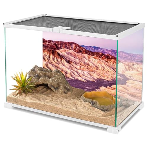 YongFoto Reptile Terrarium Background 30x18 inch Reptile Tank Background Desert Rocky Bush Thorns Western Wilderness Reptile Habitat Background Bearded Dragon Fish Tank Aquarium Background Backdrop - color: Purple, size: 30 x 18 in