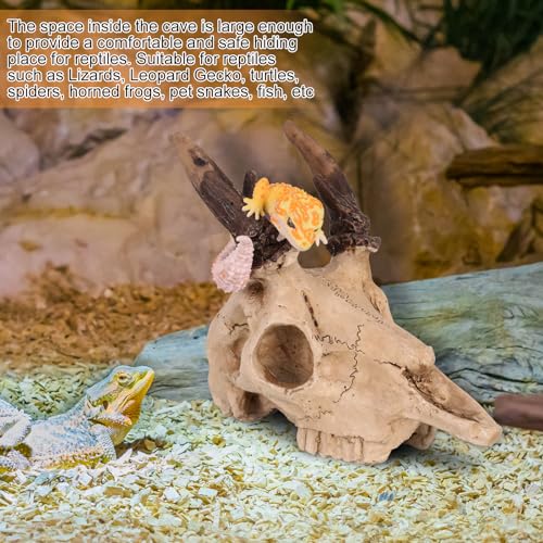 Mini Reptile Hide Cave, Small Terrarium Shelter for Spider, Tarantula, Gecko Tank Accessories, Natural Climbing Decor for Terrarium Habitat, 4 Inch(Elk Skull)