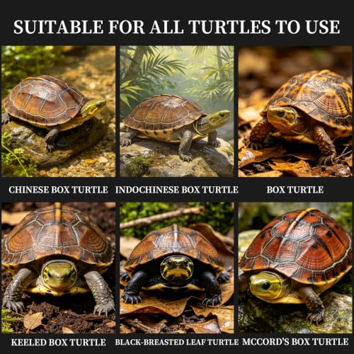 Bubble Magus TFloating Turtle Food, All Natural Ingredients, Wild Sword Prawn, Calcium Vitamin D Enriched for Picky Aquatic Baby Turtles, Baby Turtle Nutri Stick (2 Ounce, Turtle Boy)