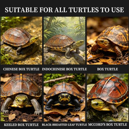 Bubble Magus TFloating Turtle Food, All Natural Ingredients, Wild Sword Prawn, Calcium Vitamin D Enriched for Picky Aquatic Baby Turtles, Baby Turtle Nutri Stick (2 Ounce, Turtle Boy)