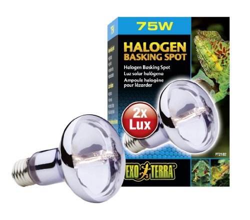 Exo Terra Sun Glo Halogen Basking Spot Lamp – 75W Reptile Light Bulb, Broad Spectrum Daylight, Enhances Coloration, Promotes Health, PT2182 - size: 75 Watts