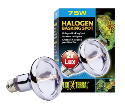 Exo Terra Sun Glo Halogen Basking Spot Lamp – 75W Reptile Light Bulb, Broad Spectrum Daylight, Enhances Coloration, Promotes Health, PT2182 - size: 75 Watts