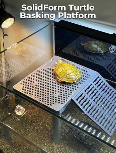 SolidForm Turtle Basking Platform with Ramp, Built-in Food Tray, Zero Zip-Tied, Non-Slip Ramp, 2 Adjustable Height Turtles Dock, for 25–75 Gallon Aquariums(11-in Width) Turtle Tank Accessories - size: Medium（10×7.8inches）