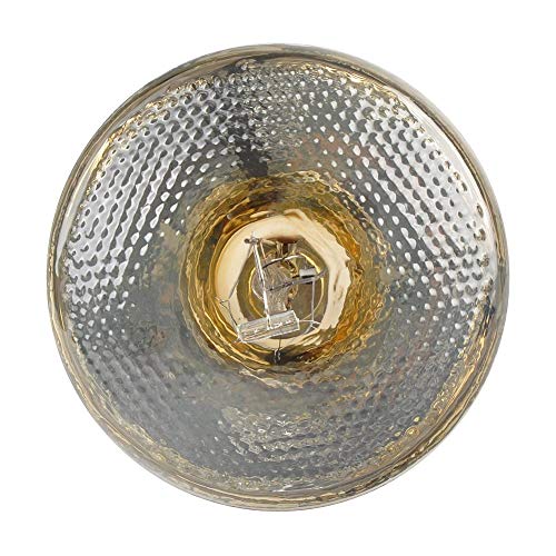 LUCKY HERP Reptile UVA UVB Mercury Vapor Bulb Lamp,Screw Thread,PAR38,100 Watt (Clear)
