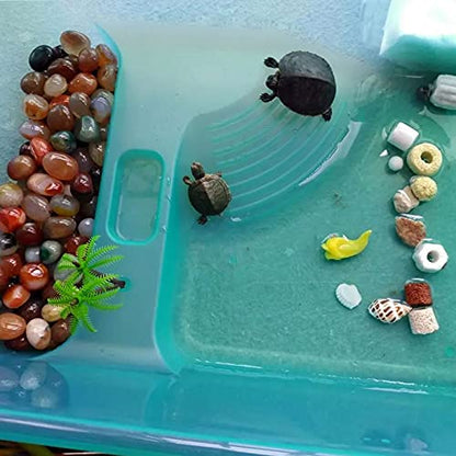 kathson Turtle Tank Aquarium, Turtle Habitat Reptile Plastic Terrarium Safe Durable, Tortoise Tank with Lid Prevent from Climbing Escaping (Small) - size: Small - 13x9.2x5.5 Inch