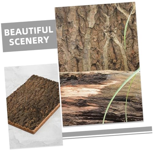 BESPORTBLE Cork Terrarium Background for Reptile Tanks Natural Bark Backdrop Decor Climbing Mat Safe Reusable Aesthetic Habitat for Chameleons Lizards and Other Reptiles