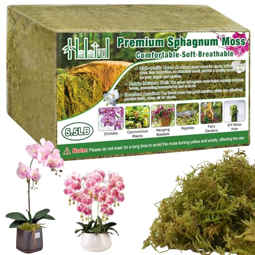 Halatool 5.5LB Green Forest Moss Natural Sphagnum Moss for Plants Fluffy Orchid Moss for Orchids Repotting Dried Plant Moss for Potted Plants Indoor & Outdoor - color: 5.5 lb