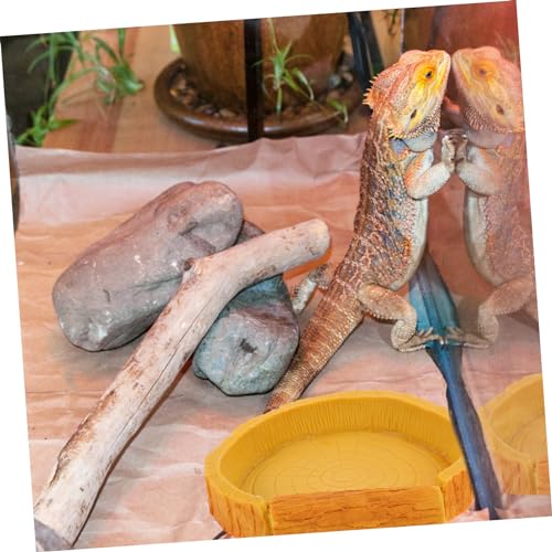 Sosoport Crawl Pets Water Basin Bark Pattern Reptile Water Dish for Lizards Turtles and Snakes Easy to Clean Non-Spill Design for Terrarium Accessories