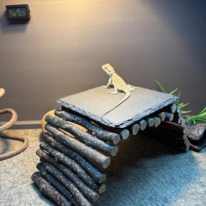 Reptile Basking Platform 6 × 6", Extra Large Reptile Slate, Basking Rock, Slate Tiles Rocks for Reptiles, Terrarium Bowls for Bearded Dragon Tortoise Turtle Ball Python Snake Lizard Gecko - size: 6 × 6 IN