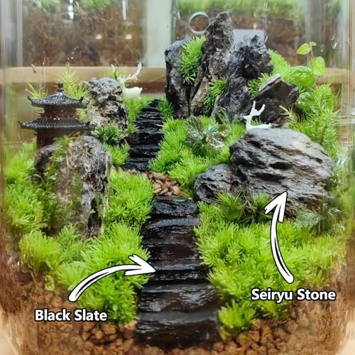 Natural Rocks Slate Stone 1-2.5 Inches Decorative Rocks for Miniature Landscaping,Fairy Gardens,Bonsai,DIY Crafts, Aquariums & Reptile Terrariums-2lb - size: 2lb(1-2.5Inch)
