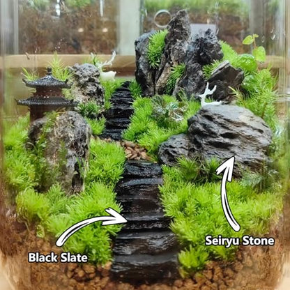 Natural Rocks Slate Stone 1-2.5 Inches Decorative Rocks for Miniature Landscaping,Fairy Gardens,Bonsai,DIY Crafts, Aquariums & Reptile Terrariums-2lb - size: 2lb(1-2.5Inch)
