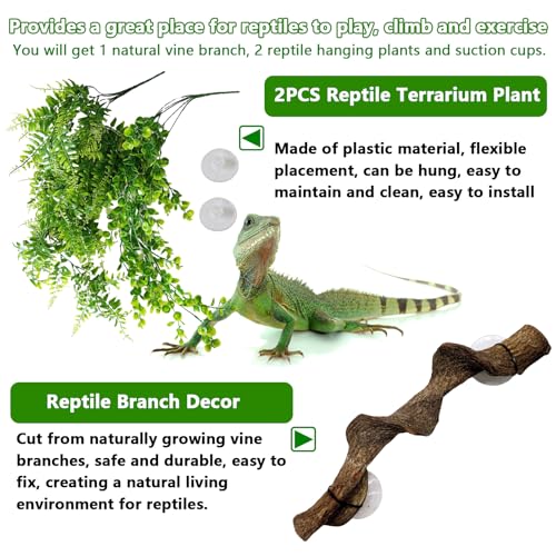 kathson Reptile Corner Branch & Hanging Plants Decor, Bearded Dragons Climbing Vine Branches,Tank Climb Branch with Terrarium Plant Accessories Ornament for Amphibians, Lizards, Snakes, Geckos, Frogs