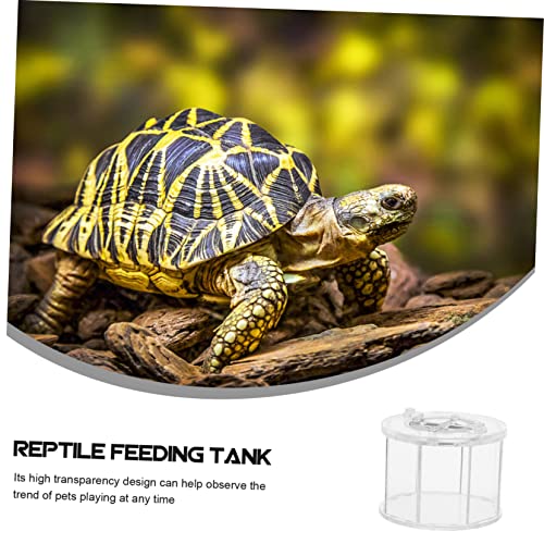 Generic Acrylic Reptile Display Container for Lizards Snakes and Ventilation Lightweight and Portable Feeding Box for Outdoor Use