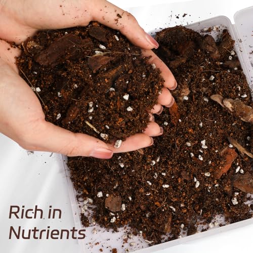 Doter Organic Pothos Soil Mix 10qt, Indoor Plants Potting Mix for All Potted Pothos, Grow Healthy houseplants Indoors - size: 10qt