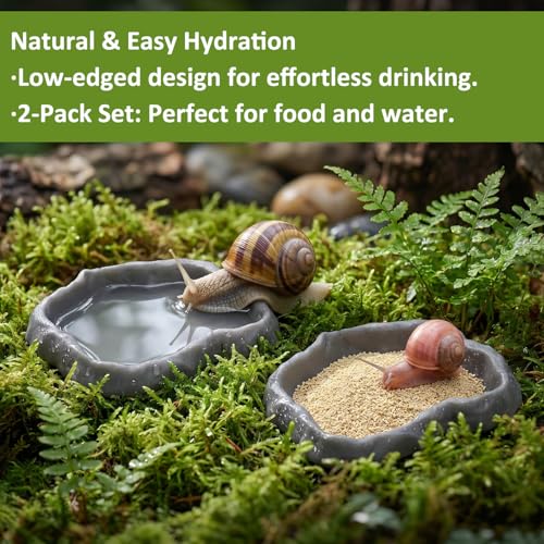 2 Pack Snail Food and Water Bowl, Pet Snail Feeder, Small Reptile Food Dish Bowl Calcium Dish for Land Snails Mini Lizard Gecko Bearded Dragon Chameleon and Hermit Crab (Cement Gray)