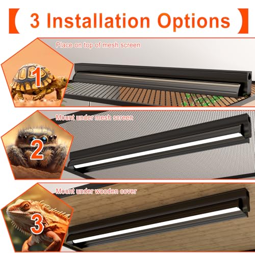 8W T5 10.0 UVB Reptile Light Fixture 12" – High Output UVA UVB Light for Bearded Dragons, Turtles & Snakes – Compact UVB Lamp for Desert & Tropical Reptiles (UVB 10.0-Desert, 12INCH-8W) - size: 8W-12 Inch-T5 Fixture
