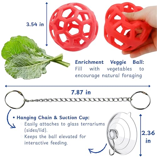 Bearded Dragon Reptile Hammock Enrichment Cage Accessories, Bearded Dragon Feeder Ball and Breathable Mesh Hammock, Lizard Hammocks Lounger Bed Rest and Feed Toy, Reptile Tank Accessories (Red)