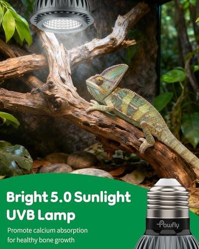 Pawfly UVB Light for Reptiles, 3 W 5.0 UVB Bulb, Tropical Reptile UVA UVB Lamp for Calcium & Vitamin D3 Synthesis, High Intensity LED Lamp for Turtle, Lizard & Red-Footed Tortoise - size: 3 W 5.0 UVB