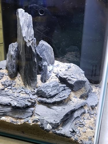 Natural Slate Stones 8 to 10 Inches - USA Sourced and Packaged for Aquascaping Aquariums, Terrariums, Paludariums, Reptile Enclosures, and Gardens (8-9 lbs)