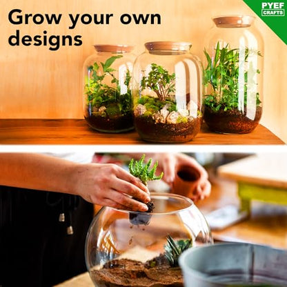 Terrarium Kit, Succulents & Indoor Plants Set DIY | Starter Pack for Any Plant – Build Your Own Ecosystem – Supplies for 64 fl oz Jar or Pot – (Jar & Plants Not Included)