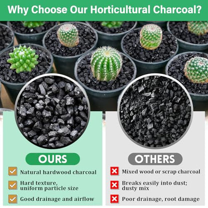 Legigo 6QT All Natural Horticultural Charcoal- Activated Hardwood Plant Charcoal for Soil Amendment, Conditioning Bonsai Soil, Succulent Soil, Terrarium Supplies, Indoor Plant Potting Soil - color: 6 QT