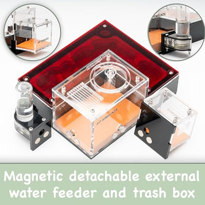 Terra Core Small Progressive Formicarium Ant Nest with Starter Kit - size: Terra Core Series - Small Progressive
