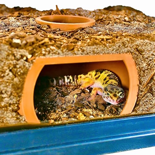 Reptile Underground Cave Viewing Hide | Hognose Snake Leopard Gecko Hide Habitat Tank Enrichment | Reptile Decoration Accessories Supplies Toys Ornaments