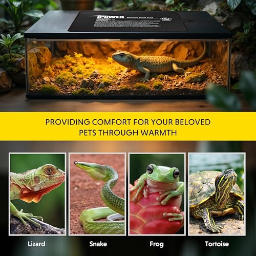 iPower 6x8 Inch Reptile Heating Pad with LCD Digital Aquarium Thermometer, Under Tank Heater Warmer Heat Mat for Turtles, Lizards, Frogs, Snakes - color: Black/Heat Pad + Thermometer, size: 6" x 8"
