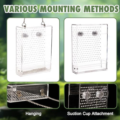 Bearded Dragon Feeder, Reptile Hunting Bowl with Calcium Powder Slot， Acrylic Chameleon Feeding Box, Wall-Mounted Insect Feeder for Lizard, Iguana, Gecko, Frog (Small) - color: Small Feeder Box