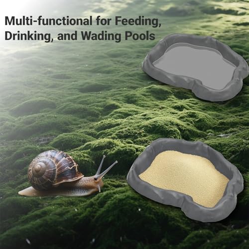 2 Pack Snail Food and Water Bowl，atural Design Food Bowl for Pet Snails, Garden Snails Pet Land Snail Supplies - color: gray