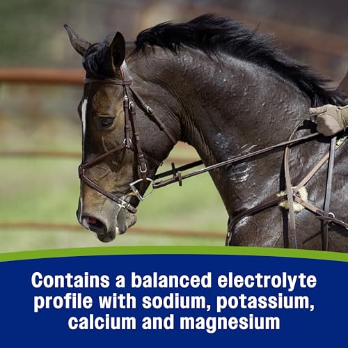 Farnam Apple Elite Electrolyte Paste Supplement for Horses, 60 cc Syringe, Replaces Vital Minerals, Hydration Electrolytes for Horses, No Added Sugar, Digestion Support, Muscle Function & Recovery
