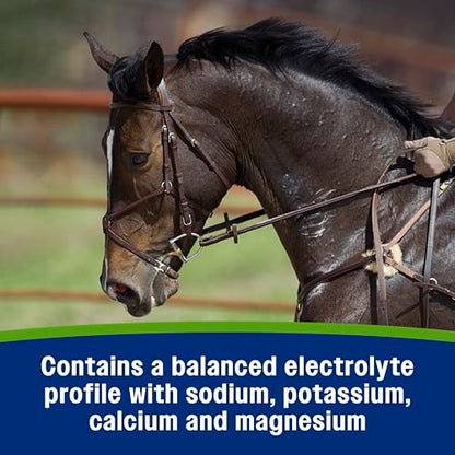 Farnam Apple Elite Electrolyte Paste Supplement for Horses, 60 cc Syringe, Replaces Vital Minerals, Hydration Electrolytes for Horses, No Added Sugar, Digestion Support, Muscle Function & Recovery