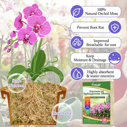 Legigo 5.3oz Natural Sphagnum Moss for Plants, 6QT Long Fiber Orchid Moss Potting Mix, Dried Sphagnum Moss for Plants Indoor, Orchid Repotting, Succulent, Carnivorous Plants, Terrarium and Reptiles - size: 5.3oz