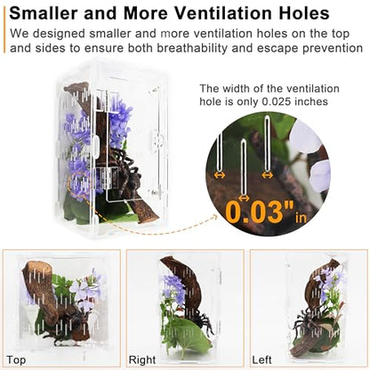 Jumping Spider Enclosure, Spider Terrarium, Acrylic Enclosure Kit, Small Terrarium, Insect Habitat for Spiders, Praying Mantis, Arboreal Tarantula, Bug, Frog, Snail, Lizard and Small Reptiles