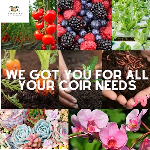 10 LB Premium Organic Coco Coir Compressed Natural Brick with Low EC and PH Balance - High Expansion for Indoor and Outdoor Potting Soil, Renewable Coco Soil for Gardening