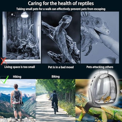 Bearded Dragon Carrier with Harness and Leash Set Large Small Animal Carrier Backpack Bubble Window Portable Small Pet Carrier for Reptile Lizard Rabbit Bird Guinea Pig Cat Travel Walking - color: Bearded Dragon Carrier