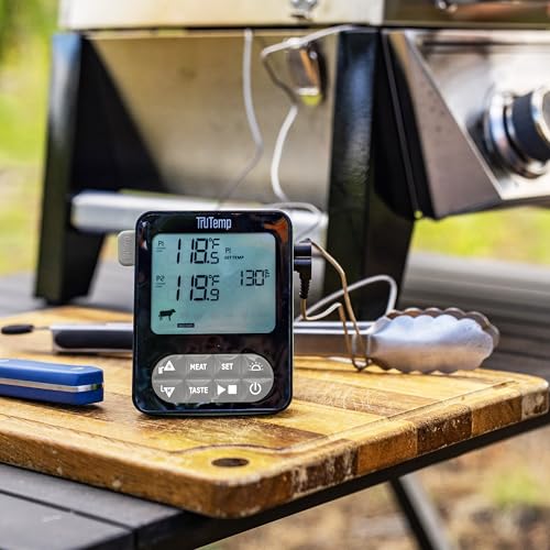 Taylor TruTemp Dual Probe Wired Programmable Meat & Food Thermometer, Digital, Monitor Two Dishes, Baking, Grilling, Roasting, User-Friendly, Backlit, Gray - color: gray