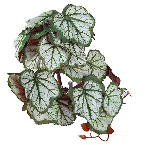 Artificial Reptile Plant, 2 Pack Plastic Simulation Vine with Suction Cup, Green Aquarium Fish Decoration