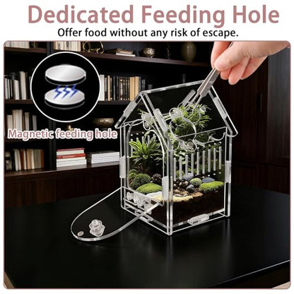 Acrylic Jumping Spider Enclosure 3.15"x3.15"x5.6" – Magnetic Front Opening Terrarium for Tarantulas, Mantis & Small Reptiles | Escape-Proof Habitat with Ventilation & No-Tool Assembly - size: 3.15 x 3.15 x 5.6 inches