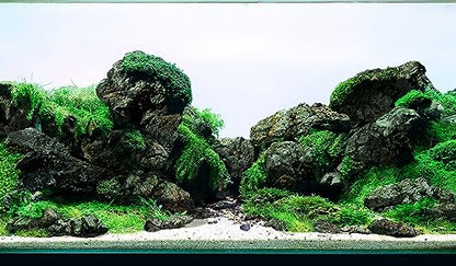 LANDEN Black Icelandic Lava Stone Natural Rocks (18lbs, 3~11 inches,11pcs) for Aquariums, Paludariums, Terrariums, Caves and Rocky Peaks, Mountainous Desert Landscapes - size: 13 Black Icelandic Lava Stone(3-9 inches,18lbs)