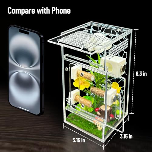 Jumping Spider Enclosure,DIY Insects Habitat,Small Reptile Terrarium Glass House Accessories Set,with Jumping Platform Hide Climbing Net(Green 2) - color: Green 2