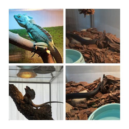 50 Gallon Bearded Dragon Tank, 36x18x18 Reptile Terrarium - size: 36x18x18" (50 Gallon)