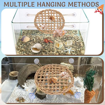 Hermit Crab Climbing Toys,Lizard Seagrass Mat,Hermit Crab Hammock with Suction Cups,Hermit Crab Supplies Decor Habitat,Small Reptile Tank Accessories for Guinea Pigs Hamsters Geckos (Circle) - size: Circle