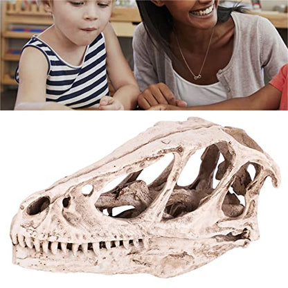 HERCHR 3D Dinosaur Skull Decor, Reptile Resin Dinosaur Skull Decoration Aquarium Decoration Model Dinosaur Animal Skull Reptile Ornament for Craft Teaching Prop Home Office Decor