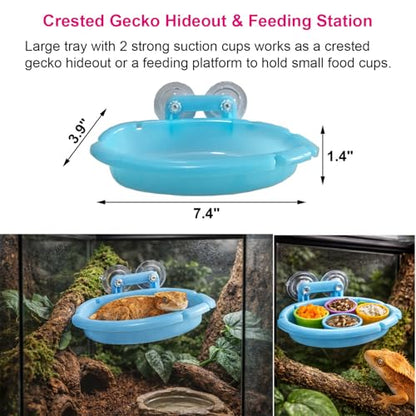 17Pcs Crested Gecko Tank Accessories Kit – Feeding Ledge with Strong Suction Cups, Blue Hideout Tray, Plastic Feeding Bowl, 6 Cresteds Geckos Cups & Crested Gecko Spoon
