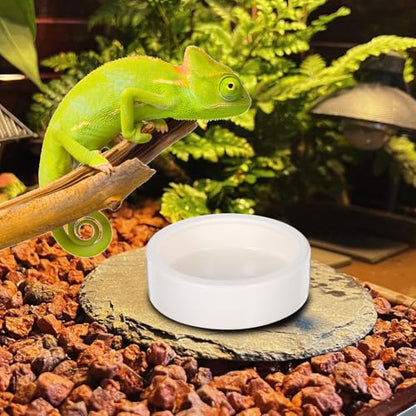 Reptile Feeding Bowls with Stable Desktop Standing Ceramic 2 Pcs for Small Lizards and Anti-Escape Design, White Round Food and Water Dishes for Reptile Feeding