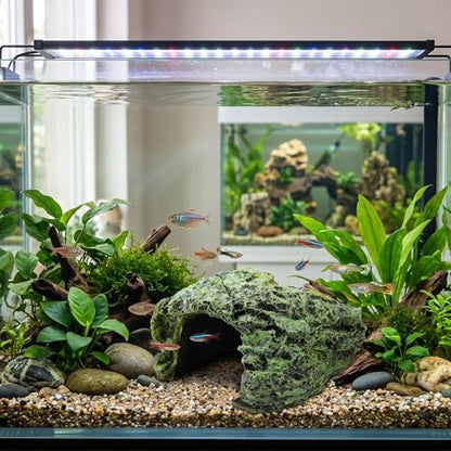 Zerone Turtles Hiding Hole Basking Cave Reptile House Shelter, Hiding Cave, Fish Hide Habitat, Resin Reptile Hiding Aquarium