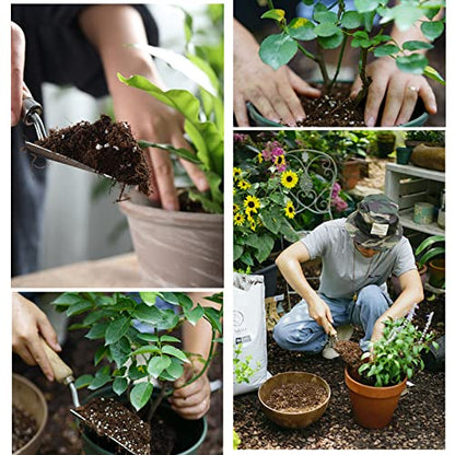 Doter Organic Potting Soil Mix 10qt for All Indoor & Outdoor Small Containers Including Herbs, Vegetables, and Flowers - size: 10qt